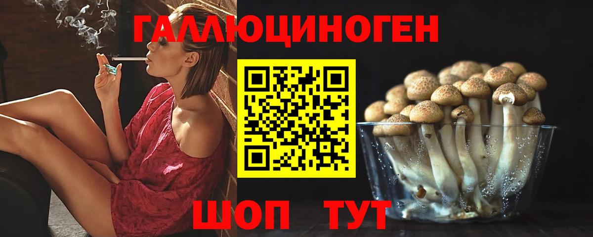 Богородск  Псилоцибиновые грибы GOLDEN TEACHER  Вход с VPN  где купить   Галлюциногенные грибы MAGIC MUSHROOMS 